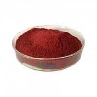 Monascus Pigment E100 Natural High Quality