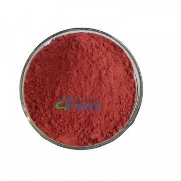 Monascus Red Color Natural Food Pigment E100