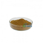 Natural plant Buckwheat extract Powder