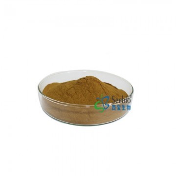 Natural plant Buckwheat extract Powder