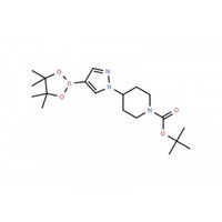 tert-Butyl 4-(4-(4,4,5,5-tetramethyl-1,3,2-dioxaborolan-2-yl)-1H-pyrazol-1-yl)piperidine-1-carboxyla