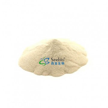 Natural 85% 95% Baicalin Scutellaria Baicalensis Extract powder