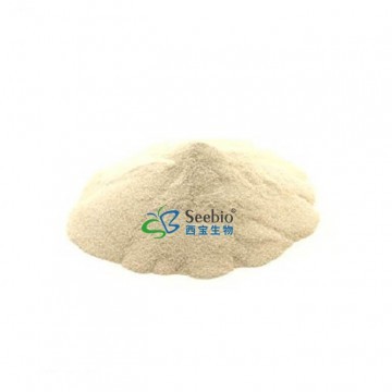 Natural 85% 95% Baicalin Scutellaria Baicalensis Extract powder