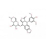 Etoposide