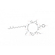 Caspofungin Acetate