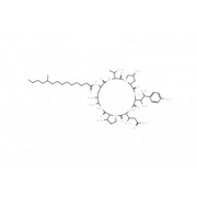Pneumocandin BO