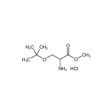 H-D-Ser(tBu)-OMe.HCl