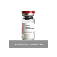 Recombinant human trypsin