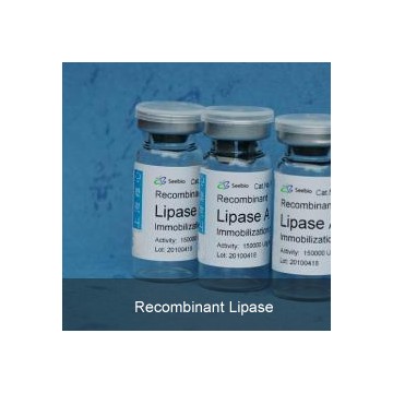 Recombinant Lipase