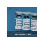 Recombinant Lipase