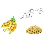 Phytosterol Powder Plant Sterol Powder soybean extract