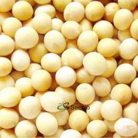 Soybean Lecithin