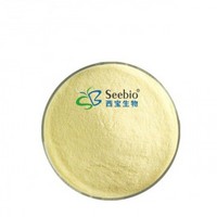 Garlic Extract Allicin Powder Food grade,medicine grade