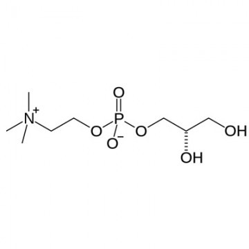 L-Alpha-Glycerophosphoryl Choline