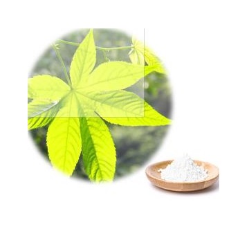 Natural Sweet Tea Extract,Rubus Suavissimus Extract ,natural sweetener