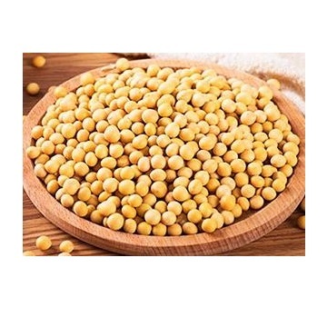 Soybean Oligopeptides