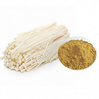 Enoki mushroom extract