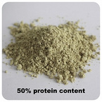 organic hemp protein powder