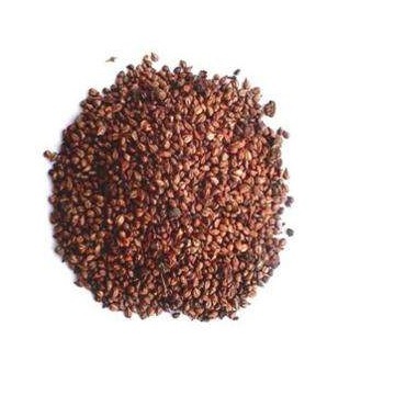 Grapefruit seed Extract