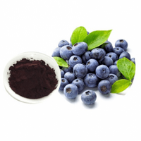 Bilberry Extract