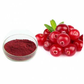 Cranberry extract