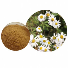 Feverfew Extract