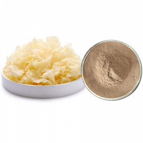 Tremella fuciformis Extract