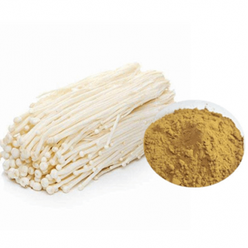 Enoki mushroom extract 