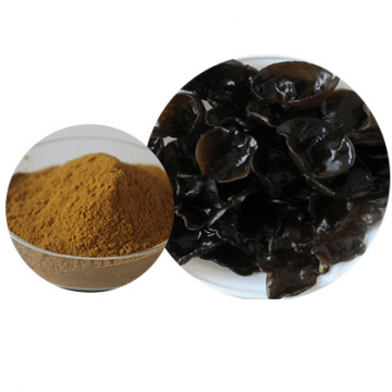 Organic Black fungus Extract