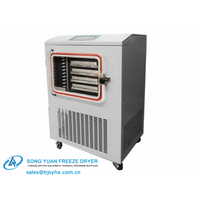LGJ-30FD Standard Type Experimental Freeze Dryer