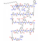 Liraglutide