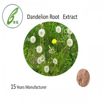  Natural Dandelion extract