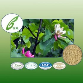 Magnolia Bark Extract