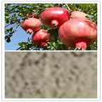  Favorites   Share Pomegranate Skin Extract