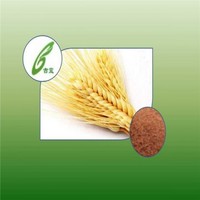 barley malt extract