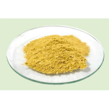 Carnosic acid 30%