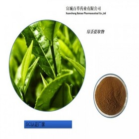 Green Tea Extract