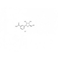 Nicotinamide riboside chloride