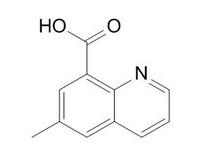 6-methylquinoline-8-carboxylic acid