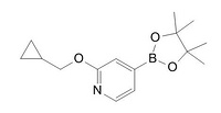 2-(Cyclopropylmethoxy)-4-(4,4,5,5-tetramethyl-1,3,2-dioxaborolan-2-yl)pyridine