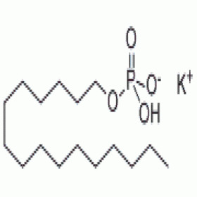 Cetyl Phosphate mono Potassium Salt 