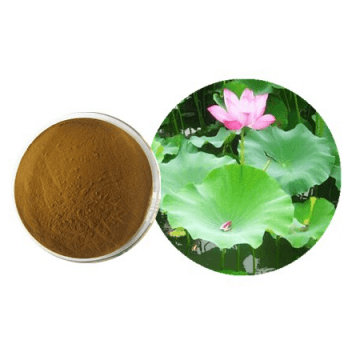 Lotus Leaf Extract