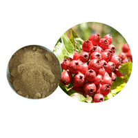 Hawthorn Berry Extract