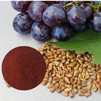 Grape Seed Extract