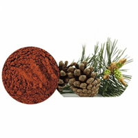 Pine Bark Extract