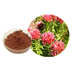 Rhodiola Rosea Extract