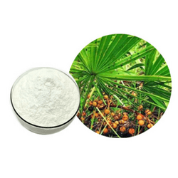 Saw Palmetto Extract