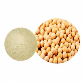 Soybean extract