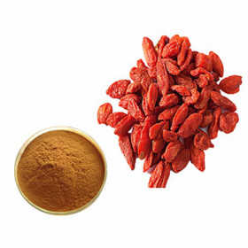 Wolfberry Extract