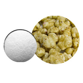 Organic Inulin powder